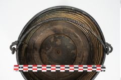 Foto von Bronzerippenziste (NHMW-PRAE-025670)